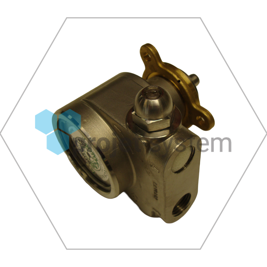 3170009A Pumpe Druckerhöhung V2A SL-V75